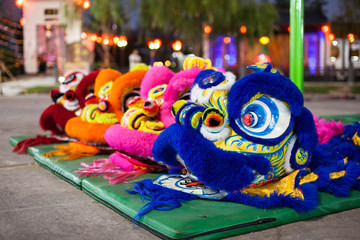 Chinese Lion dance costume show.