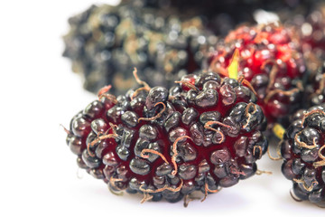 Mulberry isolated on white background