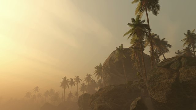 Wonderful sunrise above tropical palm jungle with sun rays and thick morning fog
