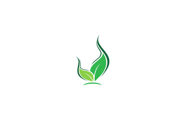 eco green leaf logo
