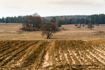 Krajobraz wiejski © podlaski49