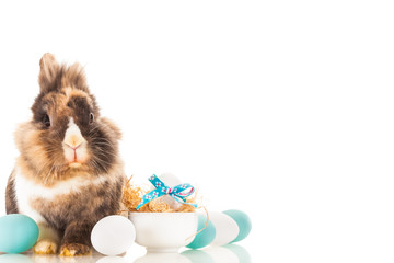 Easter rabbit