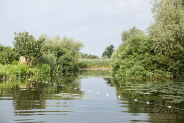 Fishing in the Danube