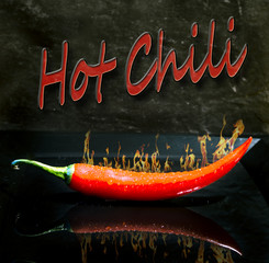 Obrazy na Plexi  Ostre chili