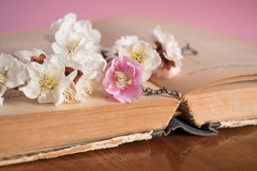 Spring plum blossoming with old books