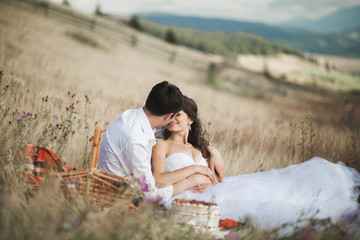 Beautiful wedding couple at picnic with fruit and cake on a background of mountains