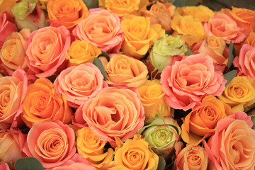 Obraz na płótnie Canvas Yellow and orange roses