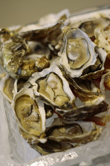 Fresh oysters on ice, selective focus, shallow DOF.
