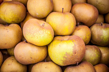 Apples