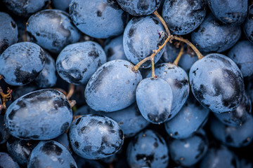 Blue grapes