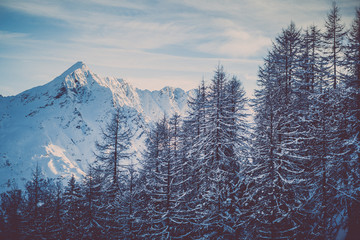 Mountain summit in winter
