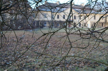 Bazie na tle zabytkowego Pałacu Klemensów © klumb