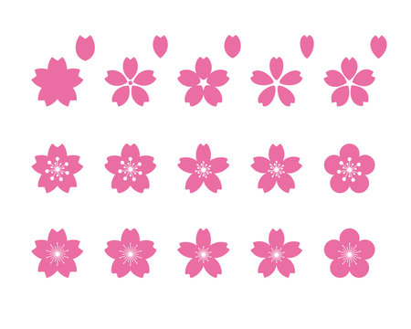 桜の花