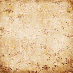 Sakura flowers floral vintage style background. Old paper retro