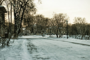 city winter alley tree