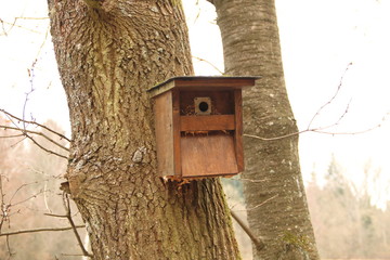 Vogelhaus am Baum