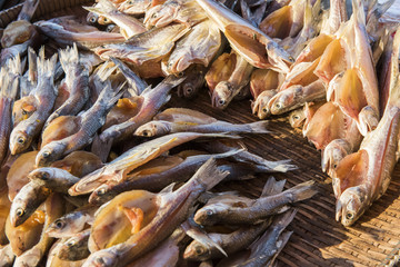 Dried Small fish used in Thailand focus in the middle