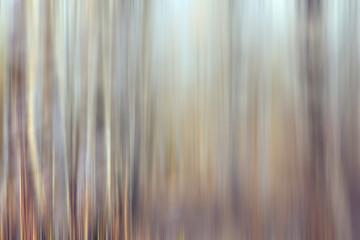 motion blurred background winter forest