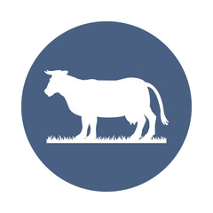 White silhouette of cow isolated on grey background. Simple flat vector illustration, EPS 10.