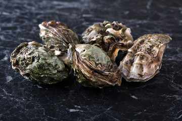 Fresh Oysters in the shell