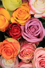 Multicolored wedding roses