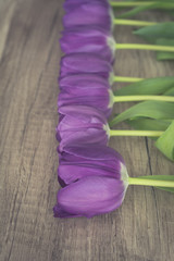 Bunch of purple tulips on wooden surface