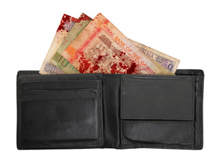 Gambian dalasi bank notes, blood