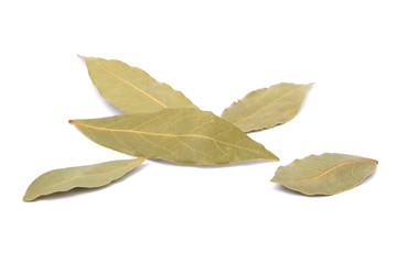 Aromatic bay leaves isolated on white background