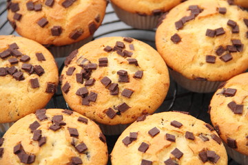 Muffins mit Schokoladenstücke