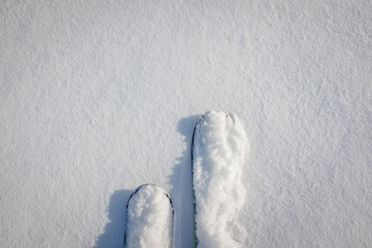 Snow covered skis in powder