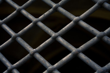 Fototapeta premium Forged metal fence fragment