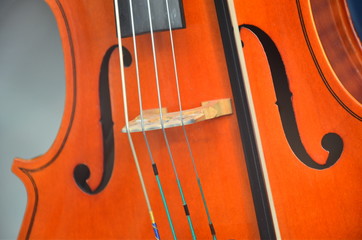 Saiteninstrumente