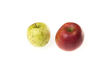 Fototapeta na wymiar Two apples, young and old as a metaphor for aging. On a white background.