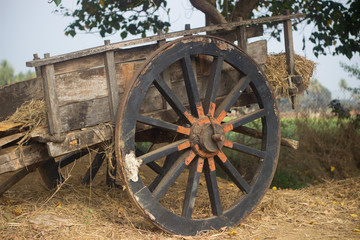 Fototapeta na wymiar cart with hay closeup