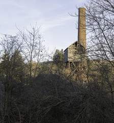 La v&eacute;g&eacute;tation reprend ses droits