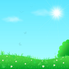 Green meadow on sunny sky background. Vector illustration.