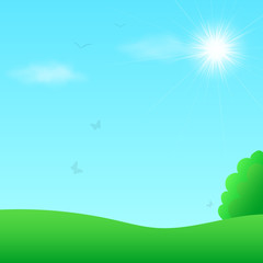 Green meadow on sunny sky background. Vector illustration.