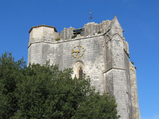 Charente-Maritime - Marsilly - Clocher de l'Eglise St-Pierre et chêne bicentenaire