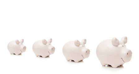 Four porcelain pigs are staying in row, isolated on white background