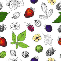 Fototapety  Seamless vector hand drawn pattern with berries