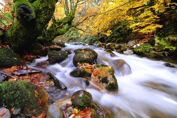 Fototapeta na wymiar Autumnal riverscape