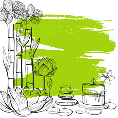 Set of vector hand drawn elements spa