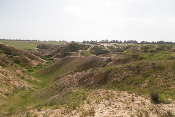 Naklejka premium dunes with grass against the sky