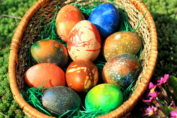 Colorful Easter eggs in basket