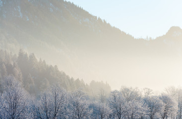 Fototapeta na wymiar Morgensonne/Sonnenaufgang in den winterlichen Alpen bei Pfronten, Allgäu