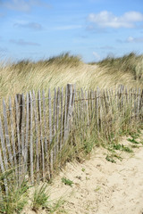 Fototapeta na wymiar Dünen, blauer Himmel und ein Zaun an der Nordsee in Blankenberge, Belgien.