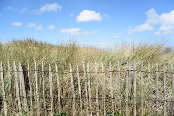 Obraz premium Dünen, blauer Himmel und ein Zaun an der Nordsee in Blankenberge, Belgien.