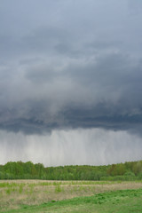 Rain in the nature. Thunderstorm over forest.