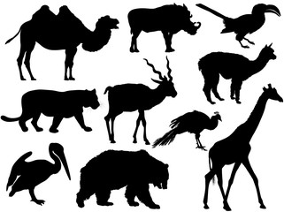 Wild animal silhouettes