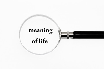 The Meaning of Life